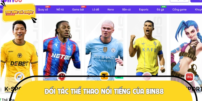 Tổng hợp các nhà cung cấp thể thao của BIN88 