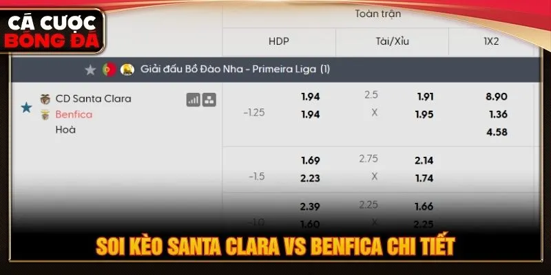 Soi kèo Santa Clara vs Benfica chi tiết